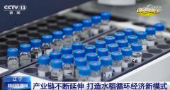 良法、良机护航正在郊野好“丰”光里看农业成