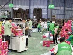 三亚超10吨农产物“飞跃”出国门 全国首例包机
