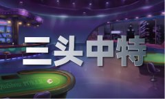 308k二四六天免费材料大全